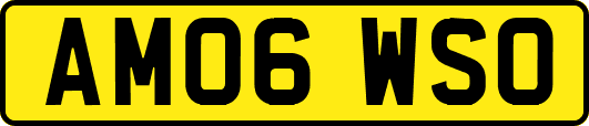 AM06WSO