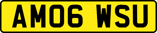 AM06WSU