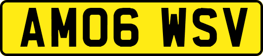 AM06WSV