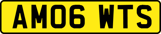 AM06WTS