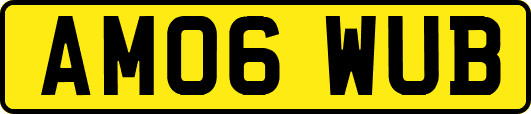 AM06WUB