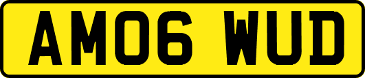AM06WUD