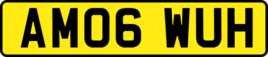 AM06WUH