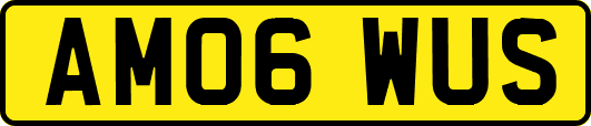 AM06WUS