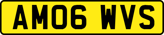 AM06WVS
