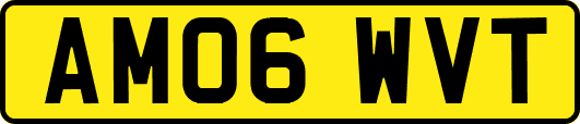 AM06WVT
