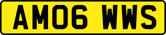 AM06WWS