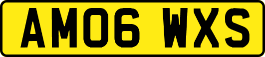AM06WXS