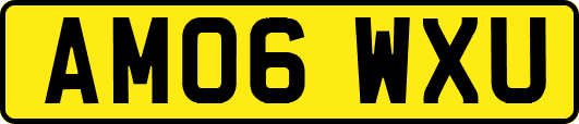 AM06WXU