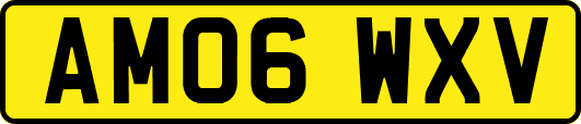 AM06WXV