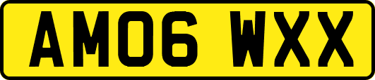 AM06WXX