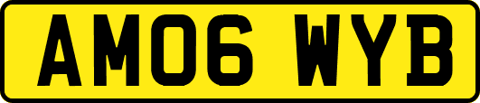 AM06WYB