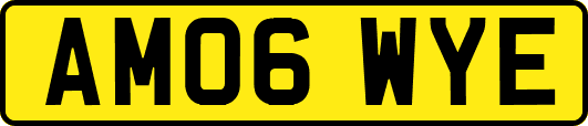 AM06WYE