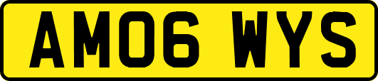 AM06WYS