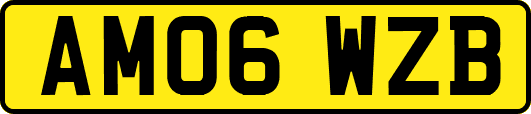 AM06WZB