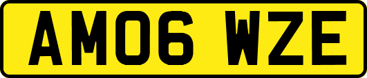 AM06WZE