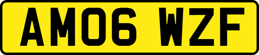 AM06WZF