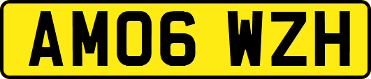 AM06WZH