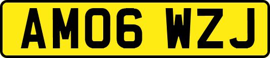 AM06WZJ