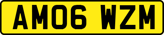 AM06WZM