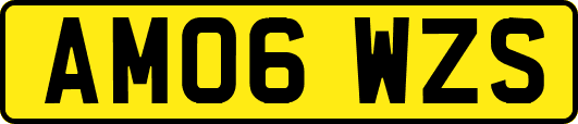 AM06WZS