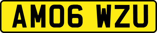 AM06WZU