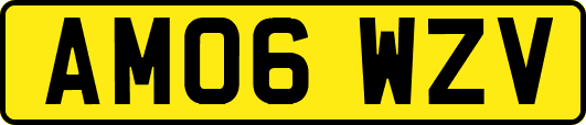 AM06WZV