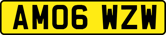 AM06WZW