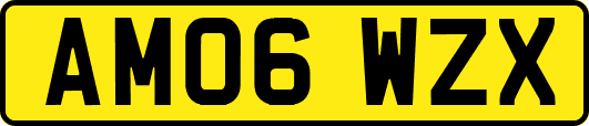 AM06WZX