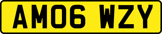 AM06WZY