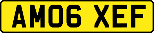 AM06XEF