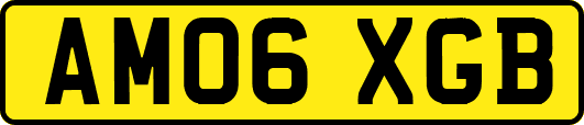 AM06XGB