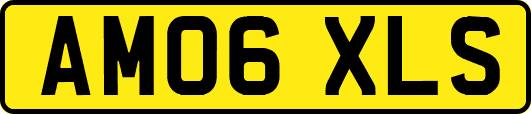 AM06XLS