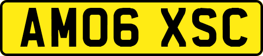 AM06XSC