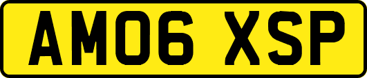 AM06XSP
