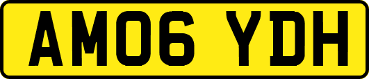AM06YDH