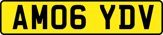 AM06YDV