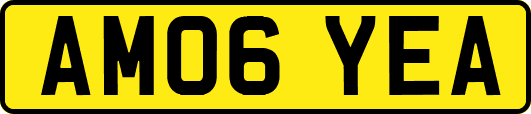 AM06YEA
