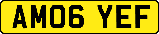 AM06YEF