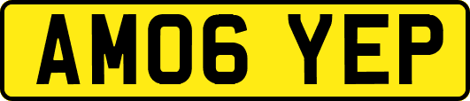 AM06YEP
