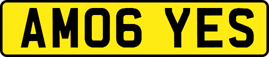 AM06YES