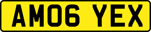 AM06YEX