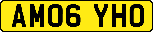 AM06YHO