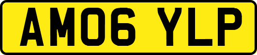 AM06YLP