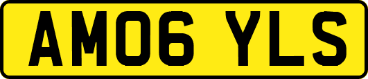 AM06YLS