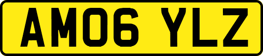 AM06YLZ