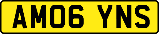 AM06YNS