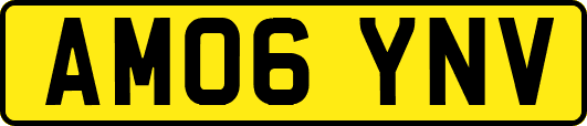 AM06YNV