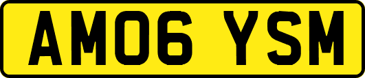 AM06YSM