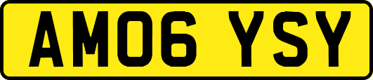 AM06YSY